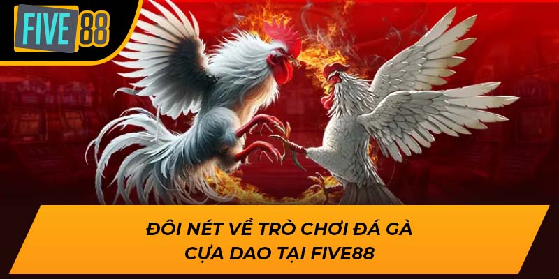 Trải Nghiệm Đặc Sắc Cùng Đá Gà Cựa Dao Tại Five88 1 Đôi nét về trò chơi đá gà cựa dao tại Five88