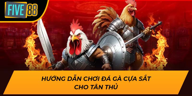 Trải Nghiệm Đá Gà Cựa Sắt Đỉnh Cao, Nhận Quà Khủng Tại Five88 2 Hướng dẫn chơi đá gà cựa sắt cho tân thủ
